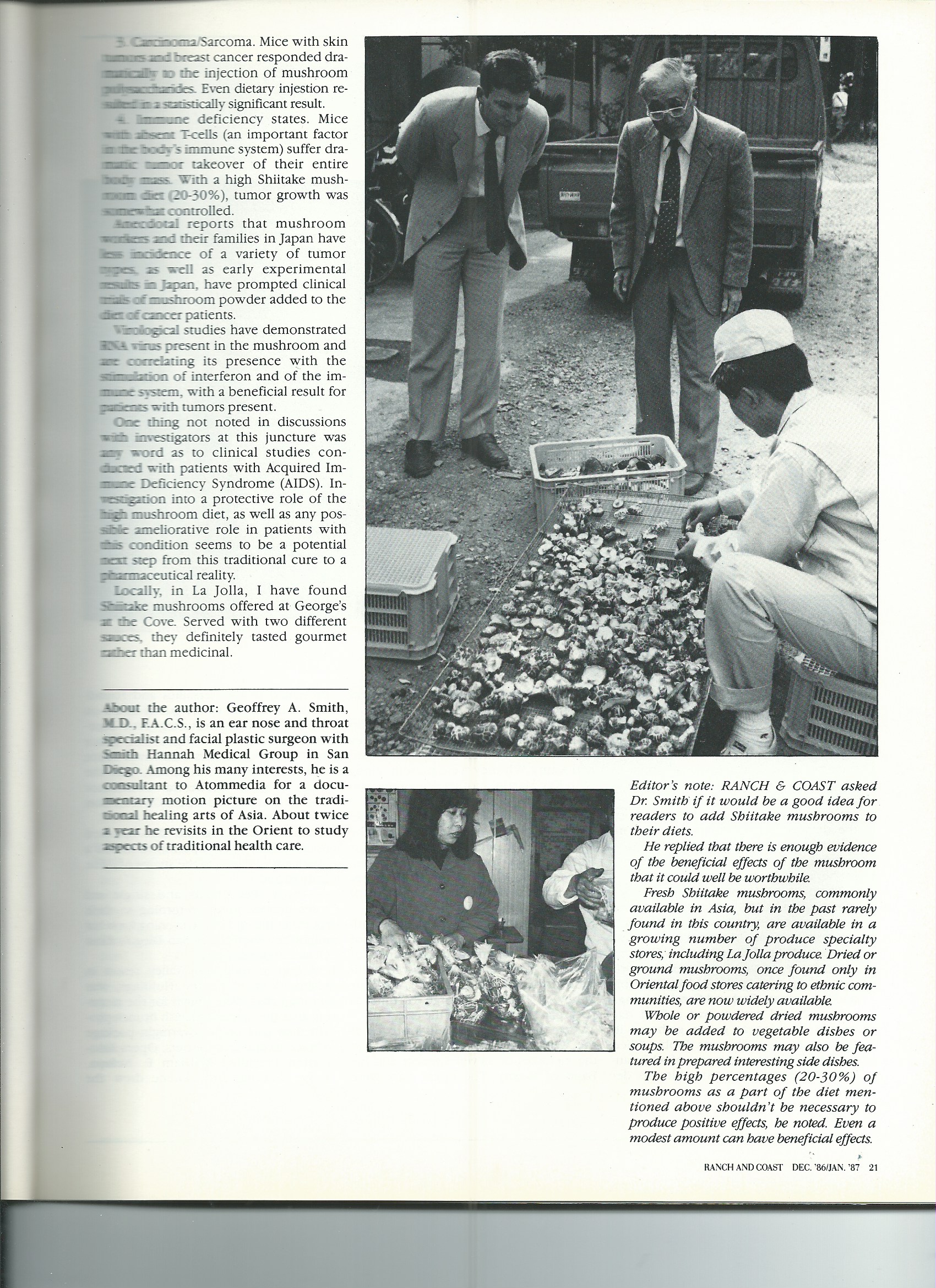Scan 119.jpeg