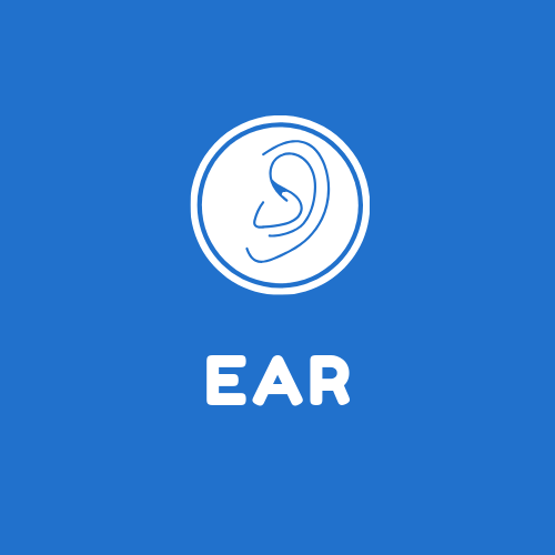 EARS.png
