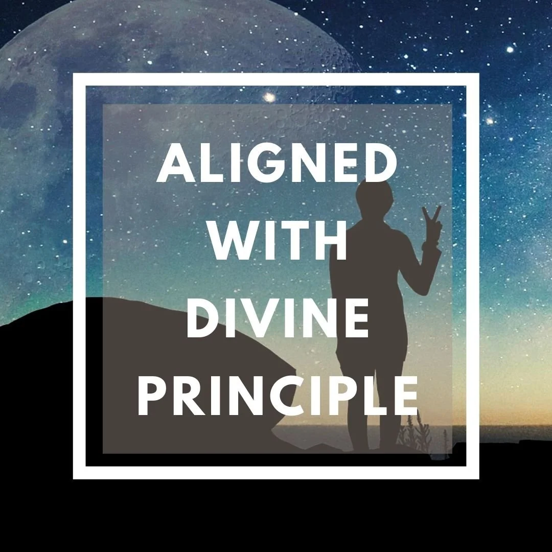 Alignment with DIVINE Principle