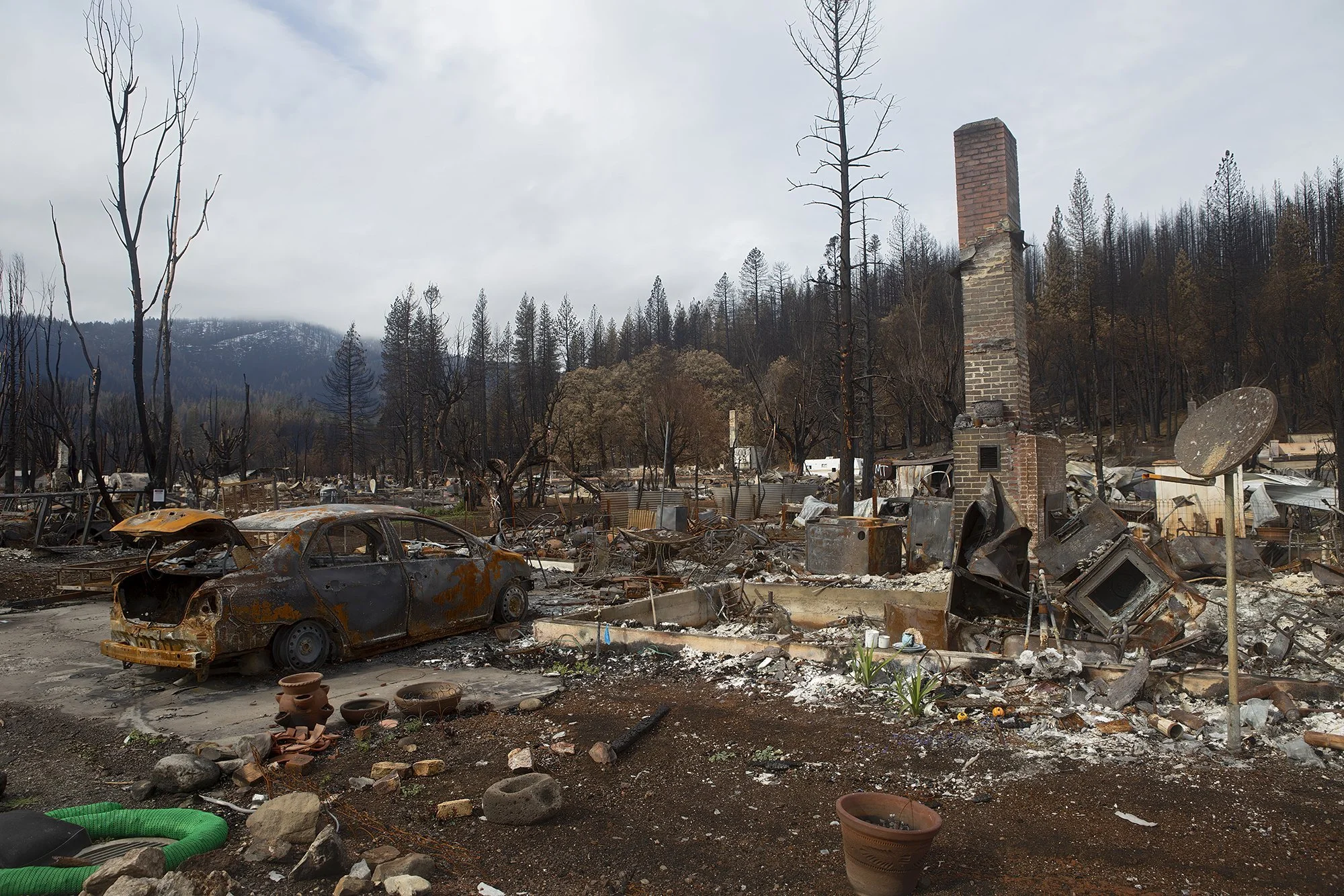 Lou Fancher Reviews Requiem