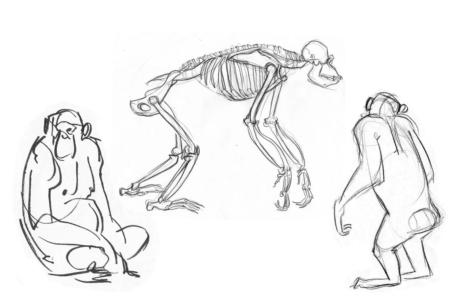 sketchbook01.jpg
