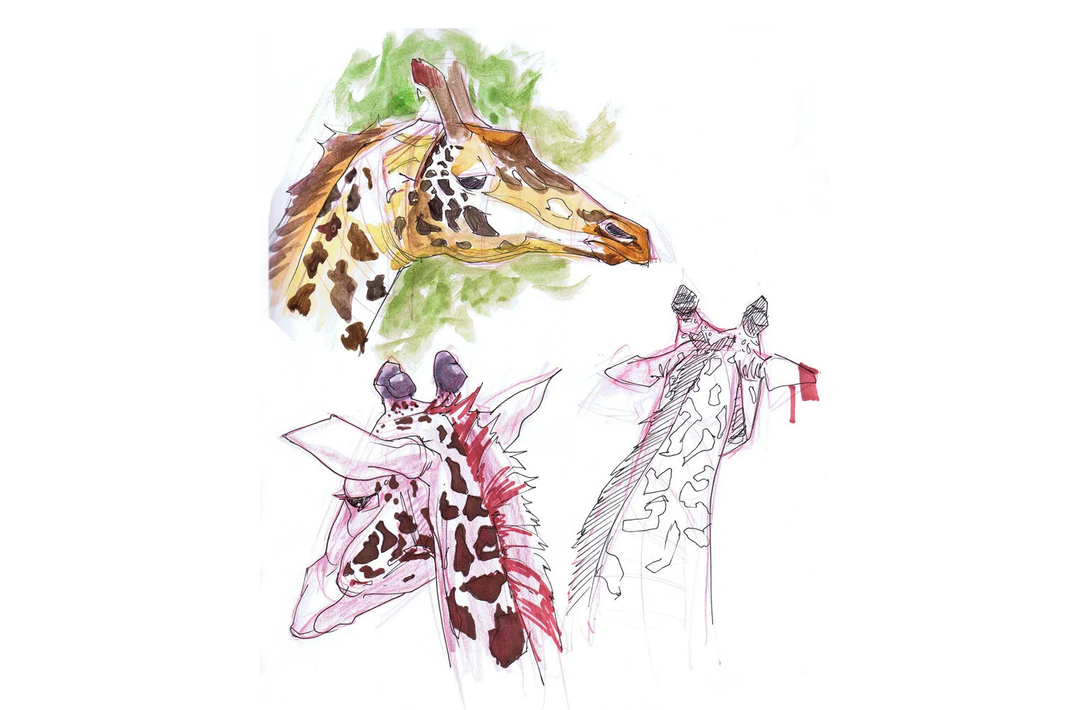 sketchbook04.jpg