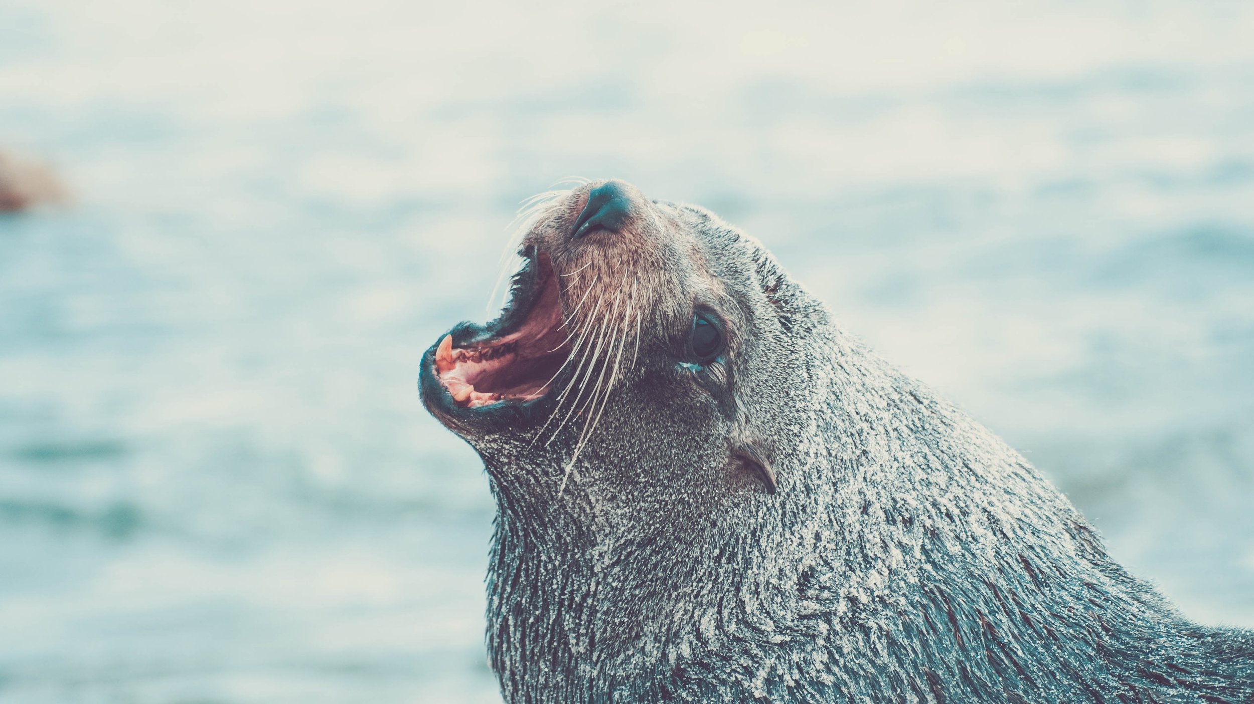 alec-weir-EDqP5r_QwrE-unsplash.jpg