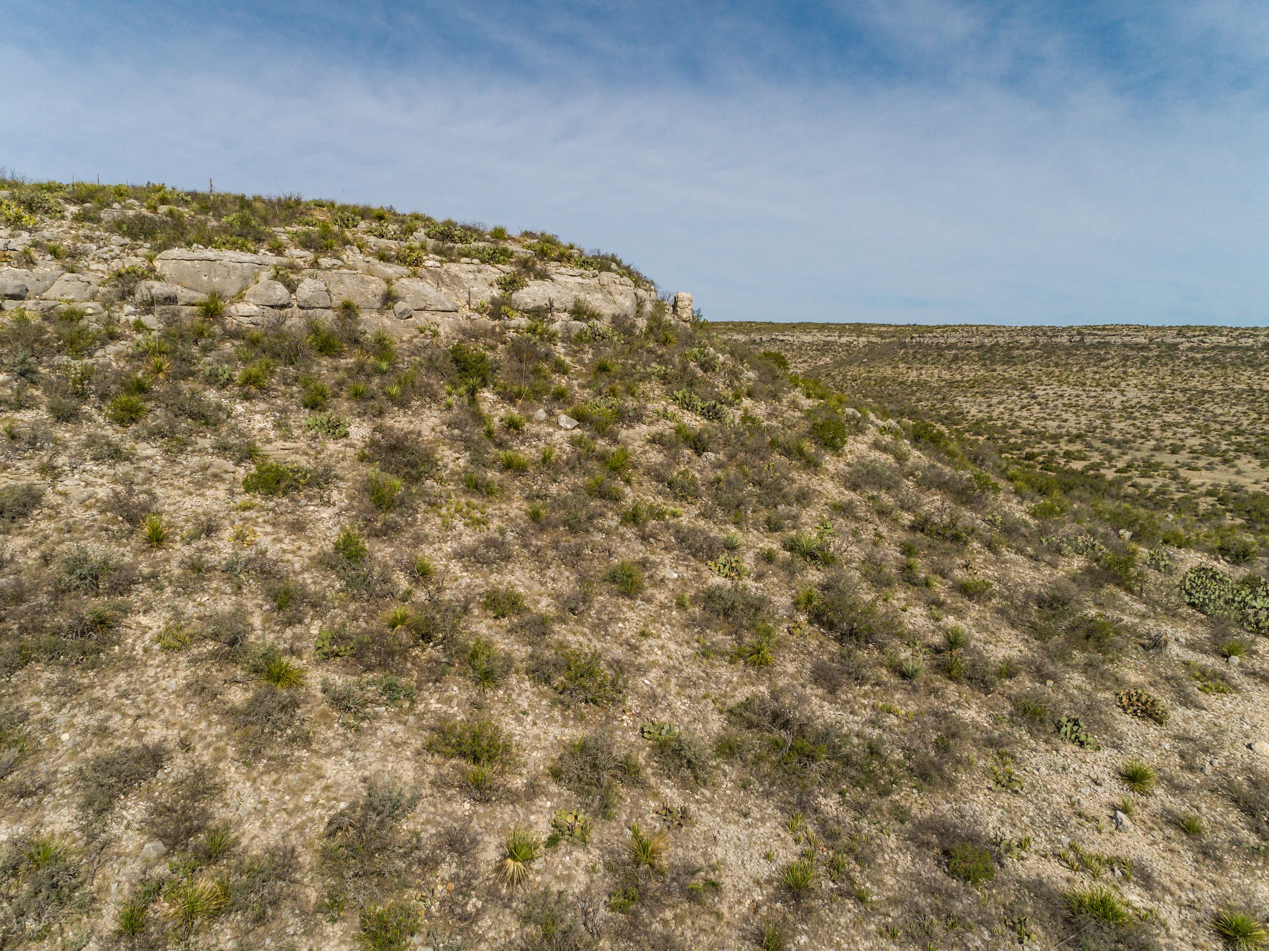 DJI_0102.jpg