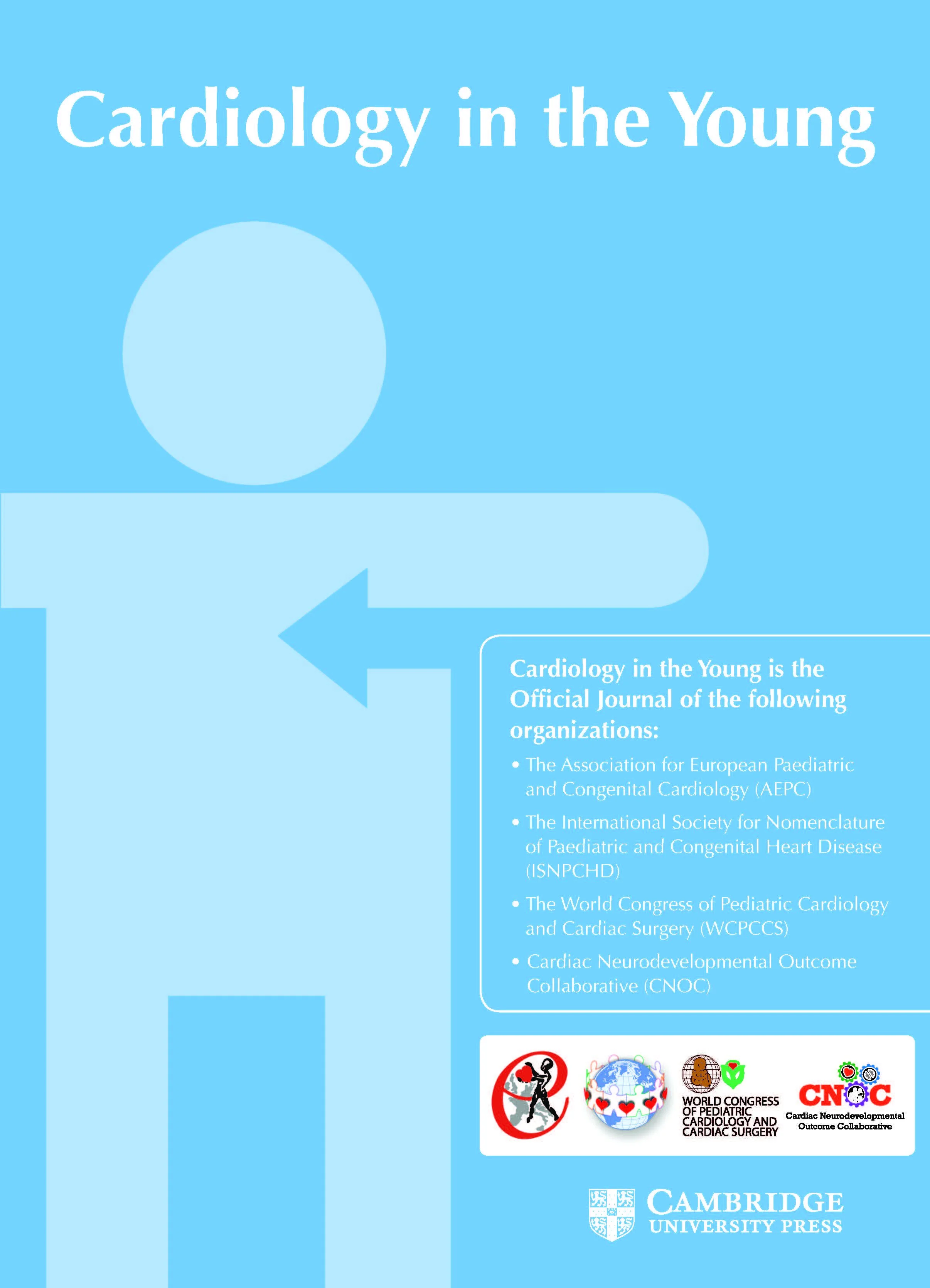 Experiences and Insights from Partners of Individuals with Single-Ventricle CHD: A Pilot Qualitative Research Study