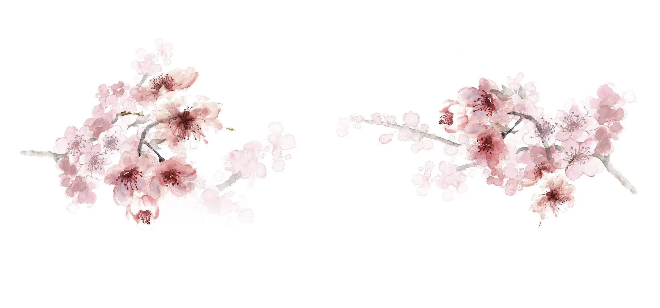 cherryblossoms_tall2.jpg