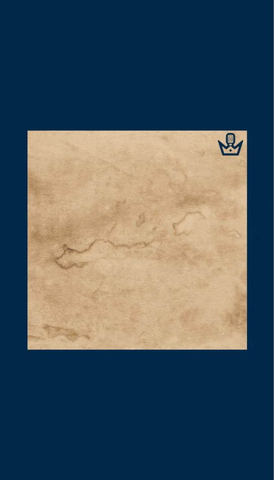 Patty Half Screen.gif