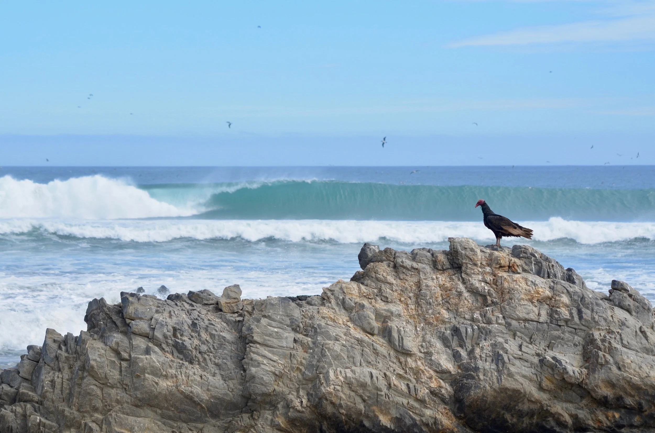 DSC_0093.jpeg