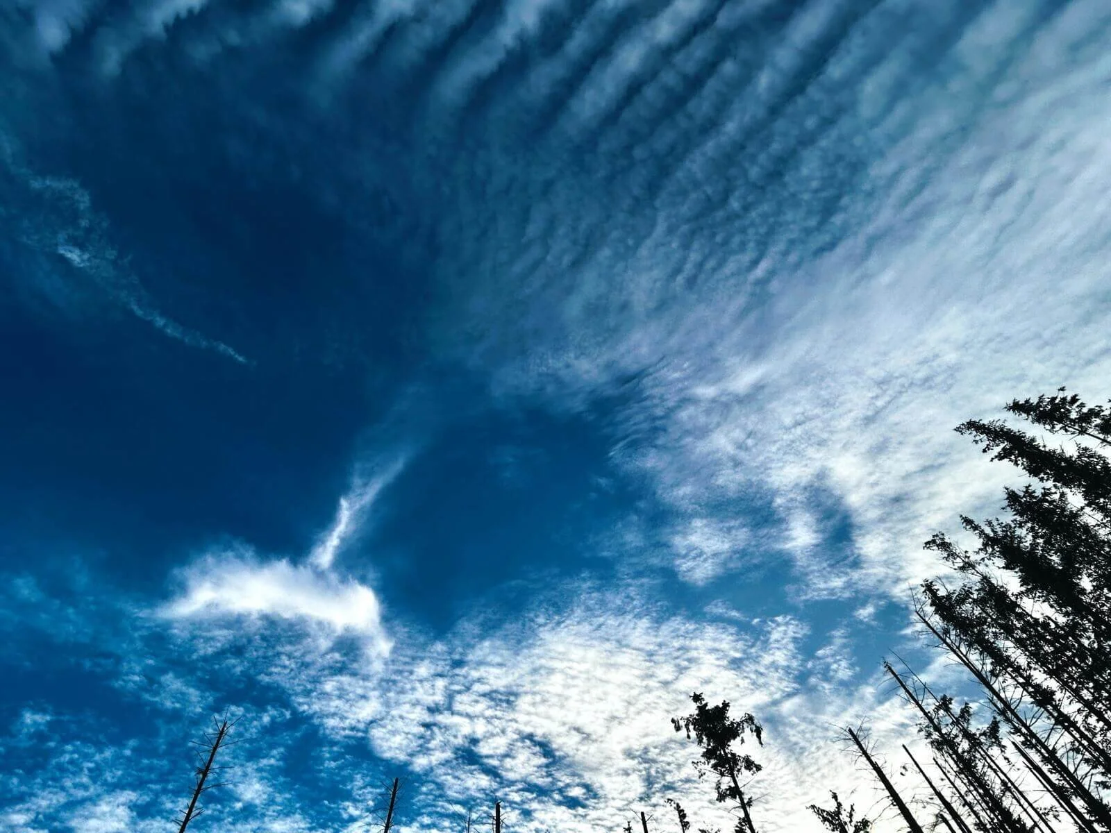 blue sky and clouds act as a metaphor for mindful meditation - you are the sky the rest is just clouds.