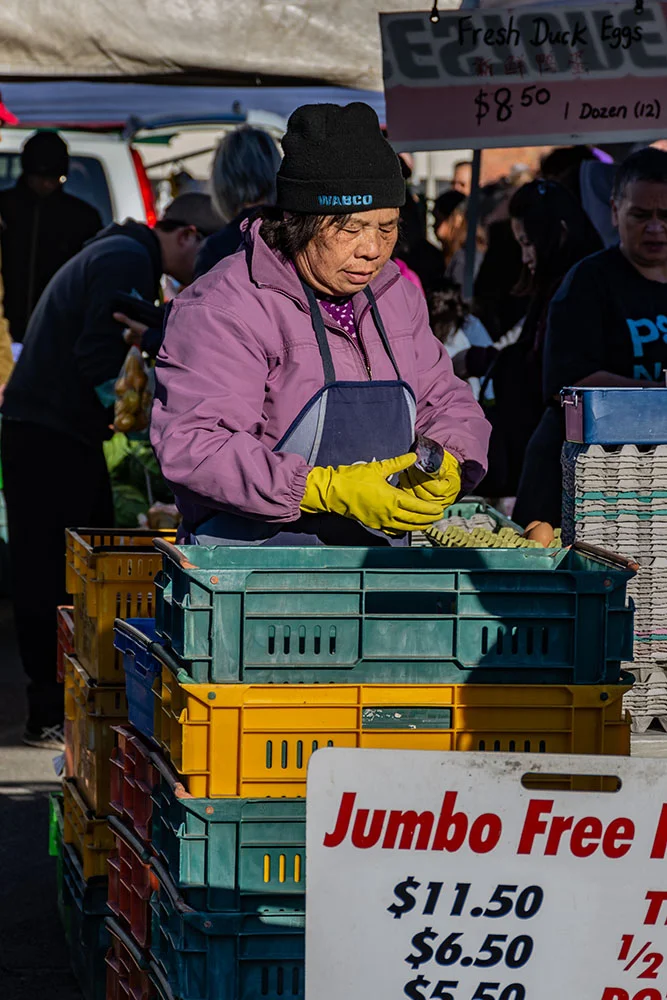 UCOL-Workhub-2018-Essance of the Manawatu-Kelly Lynn-Farmers Market 1.jpg