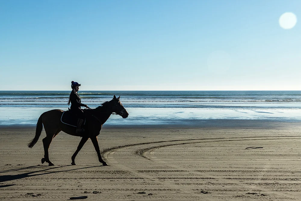 horse-at-the-beach.jpg