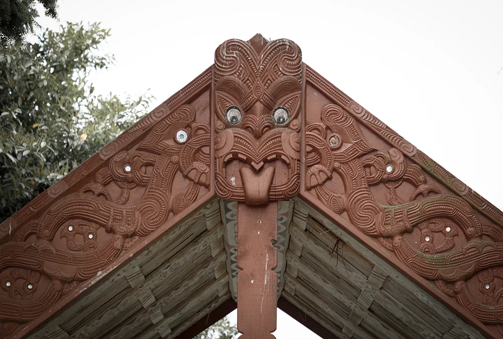 2018-Photo-Te Kauwhata Marae-Daniella James-19.jpg