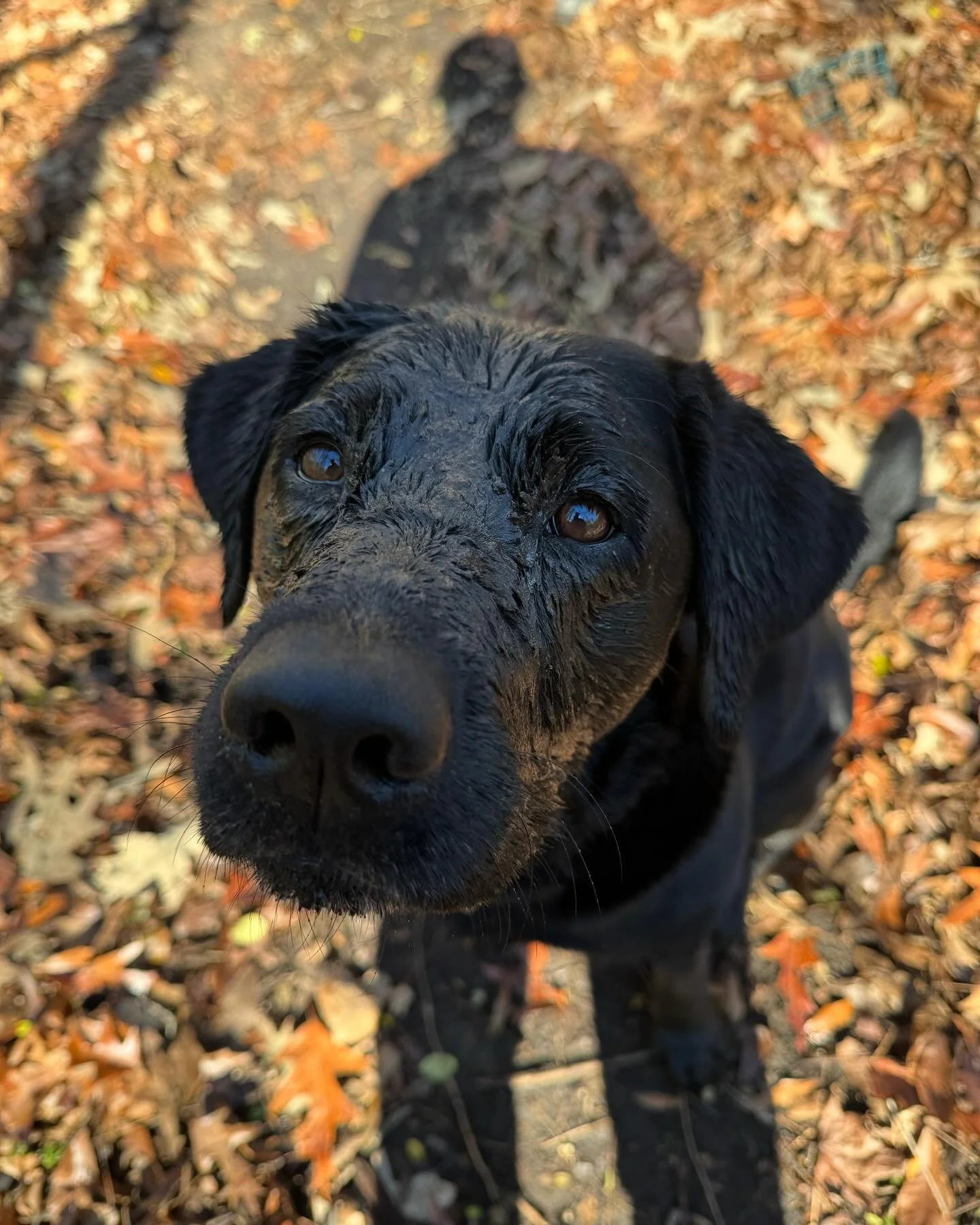 Nice Mud!