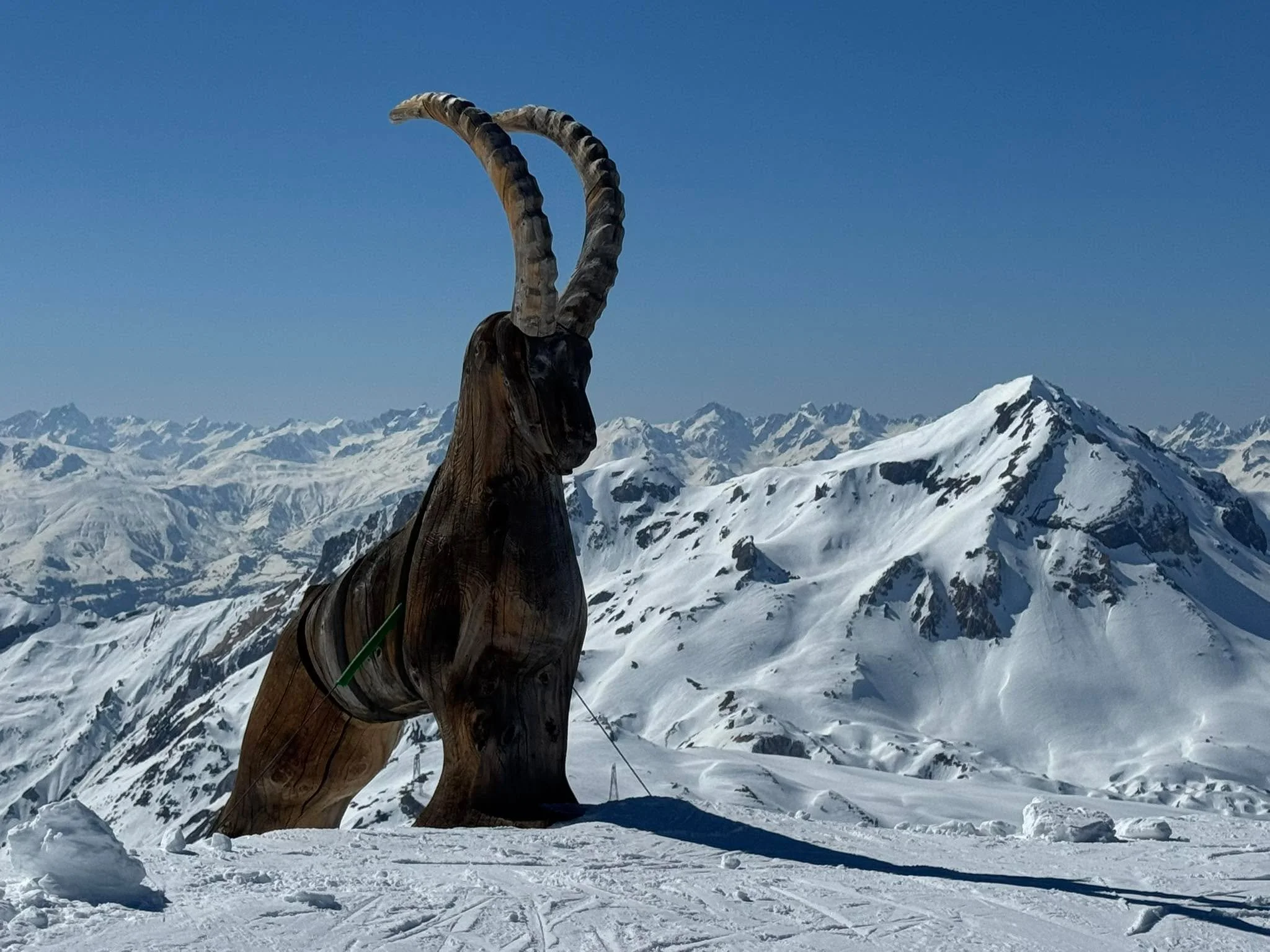 This GOAT says it all. Made of a very hard wood!