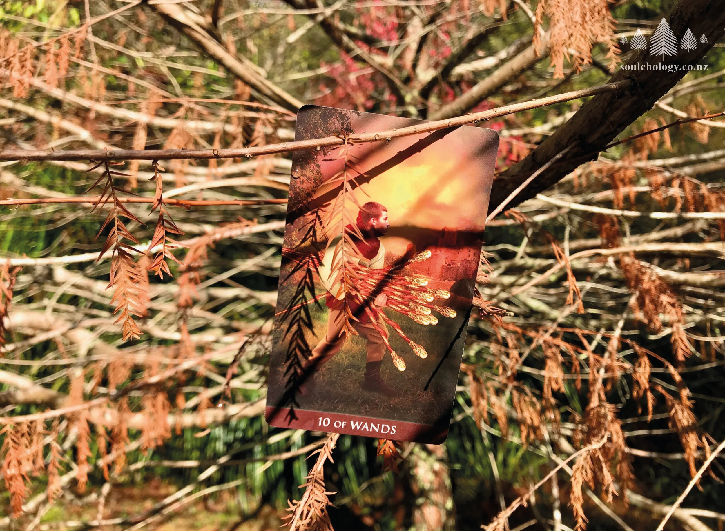 Ten Of Wands: Lightening The Load