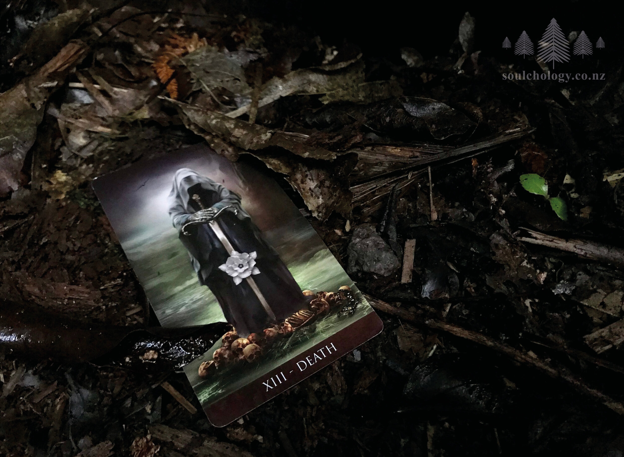 Arcanum Deck | Photography © Alison Jeavons