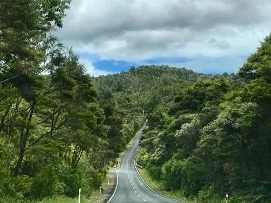 road%2Bto%2Bwaitekere.jpg