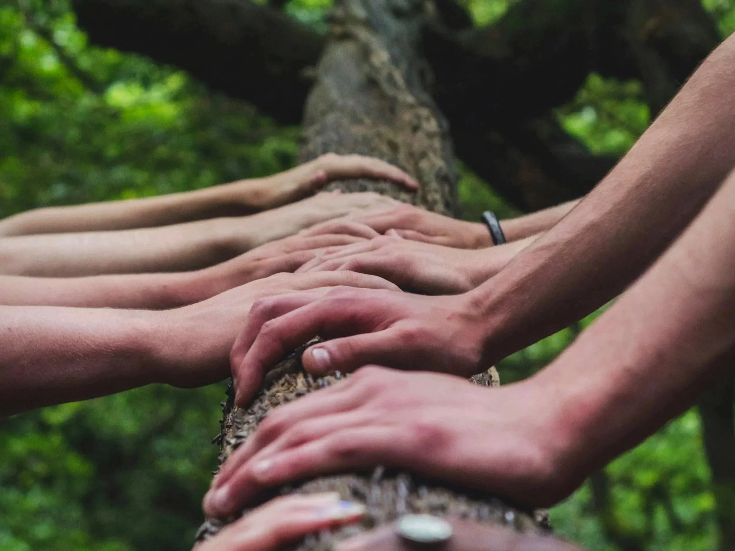 Soulchology - Koha Sesssion