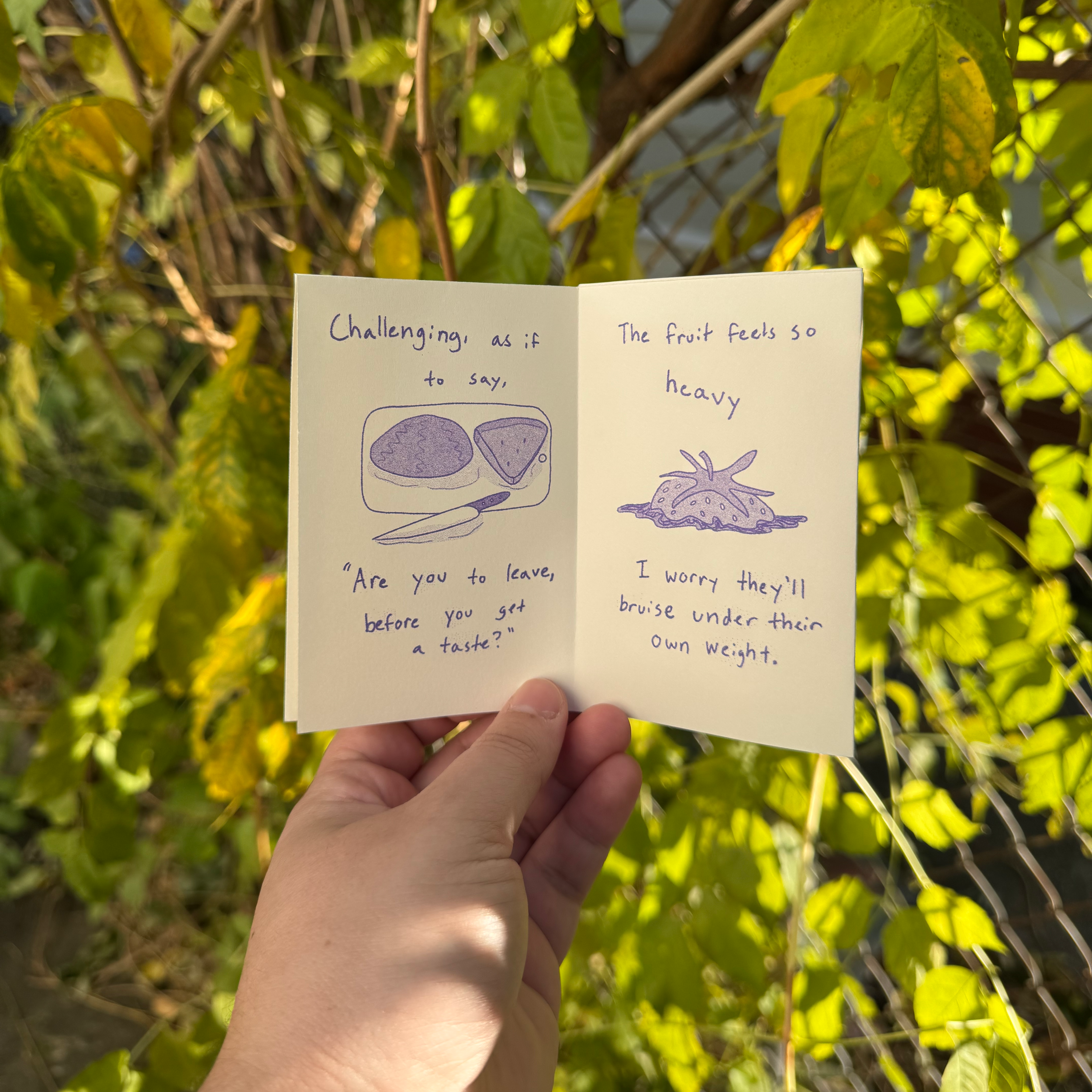 Fruit in the Garden