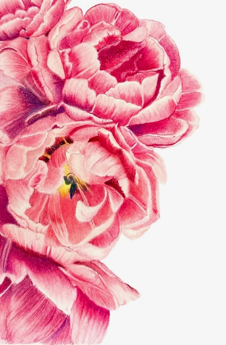 pink%2Bpeonies.jpg