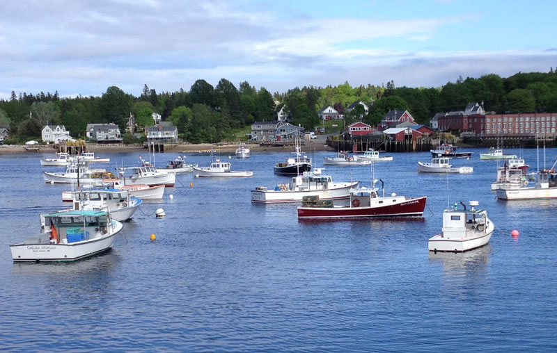 The Bass Harbor fleet at anchor as viewed from Thurston’s Lobster Pound.
