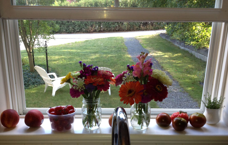 The delicious view from our kitchen window.