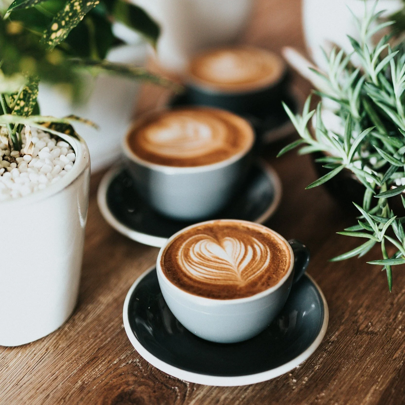 Embrace Comfort and Harmony with Pantone’s 2025 Color of the Year: Mocha Mousse