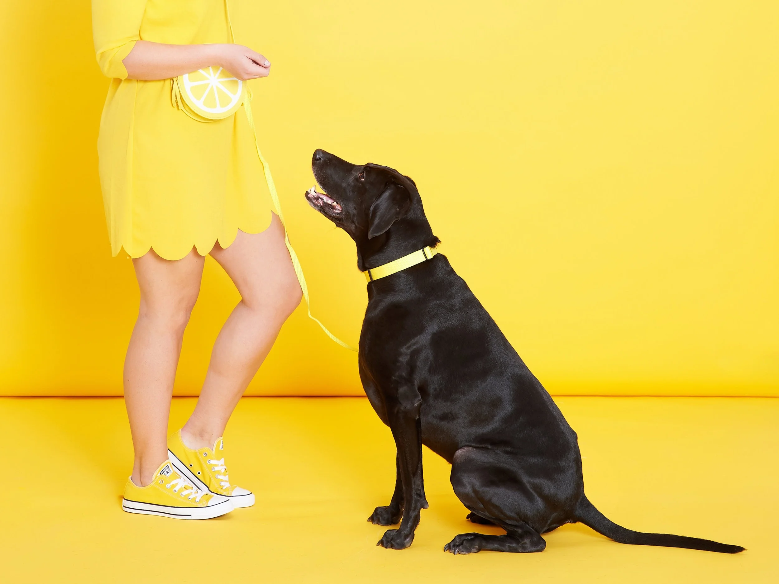 yellow.jpg