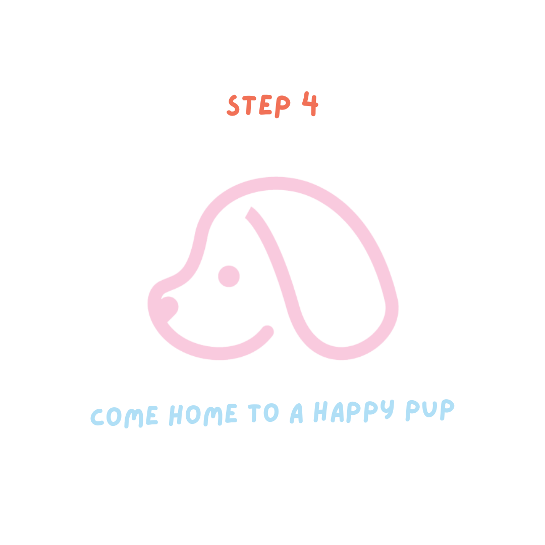 Kansas City Pet Sitting Customized Dog Care in Your Own Home — Katie's