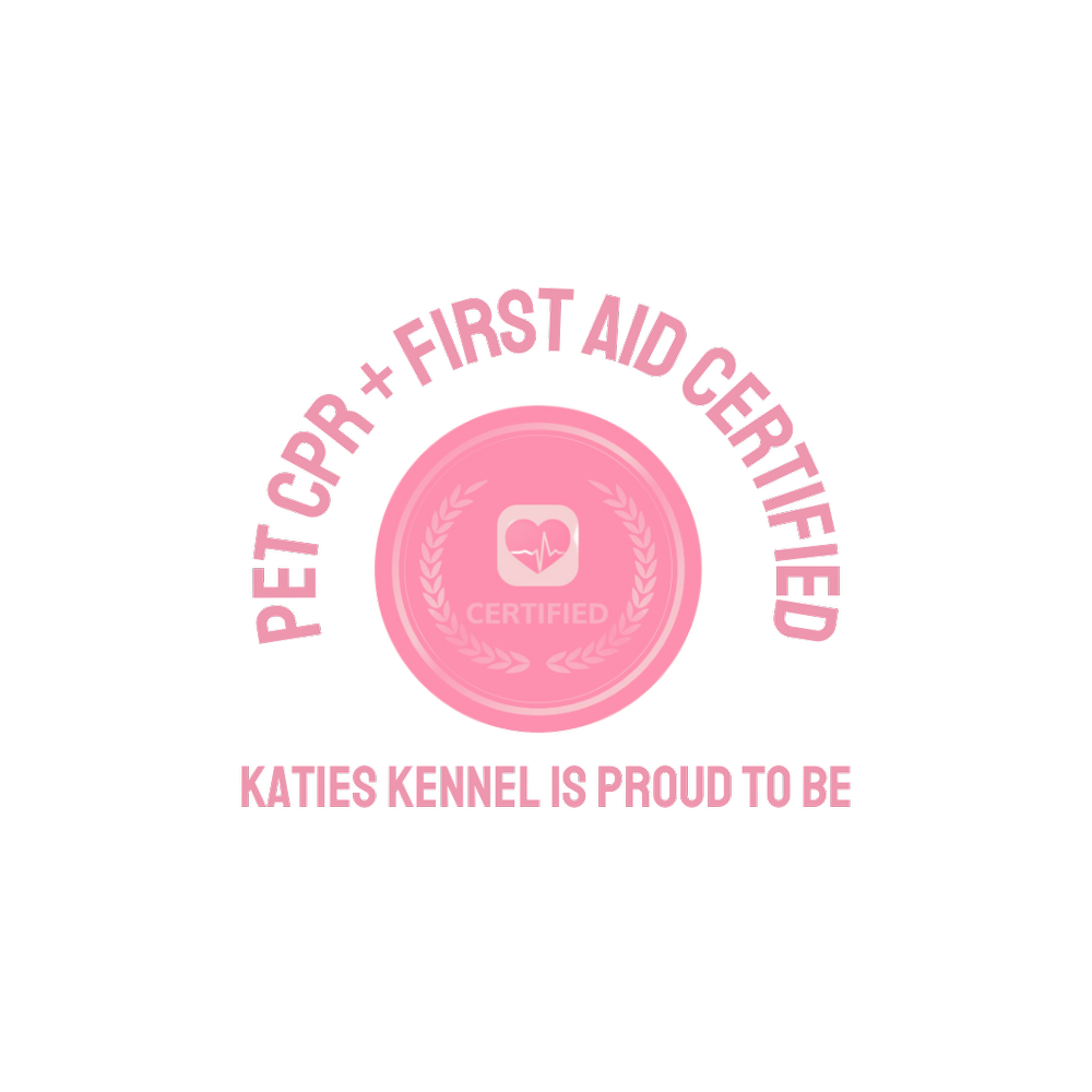 Bark at Us Book Your Service Today — Katie's Kennel