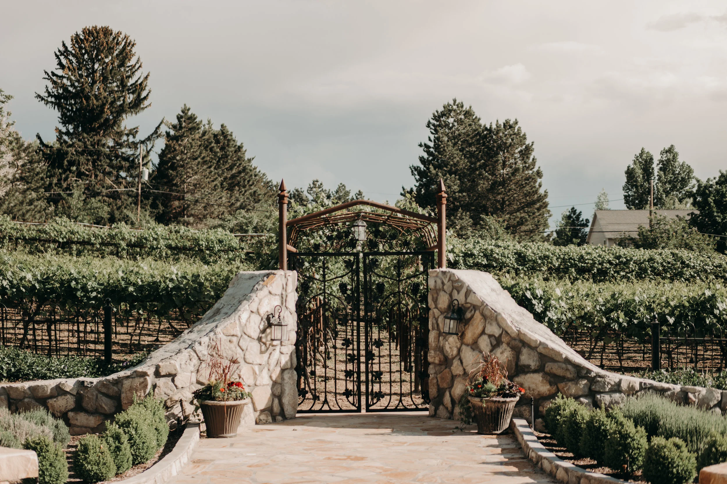 WadleyFarmsMayWedding-166.jpg
