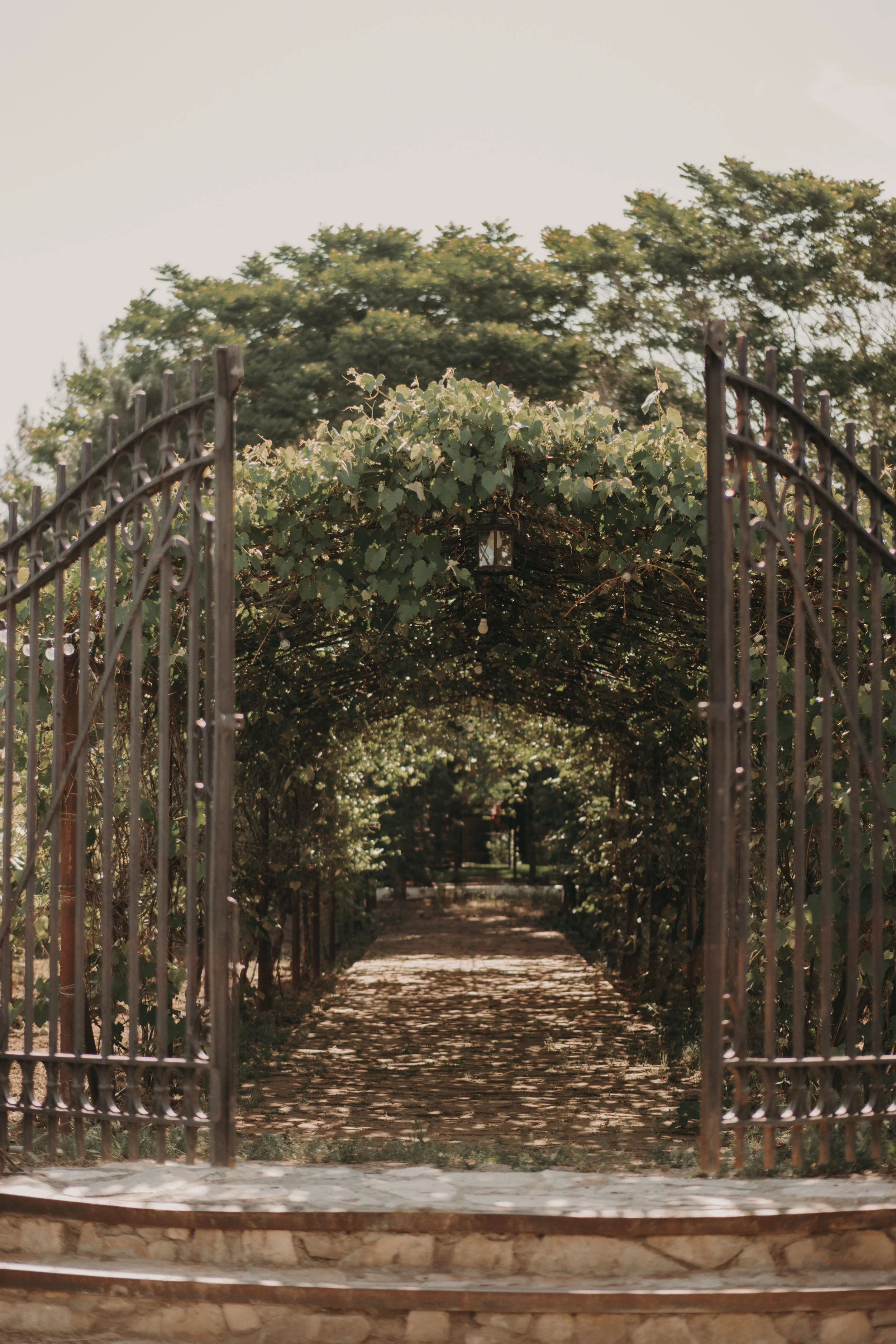 wadleyfarmsspring18-26.jpg