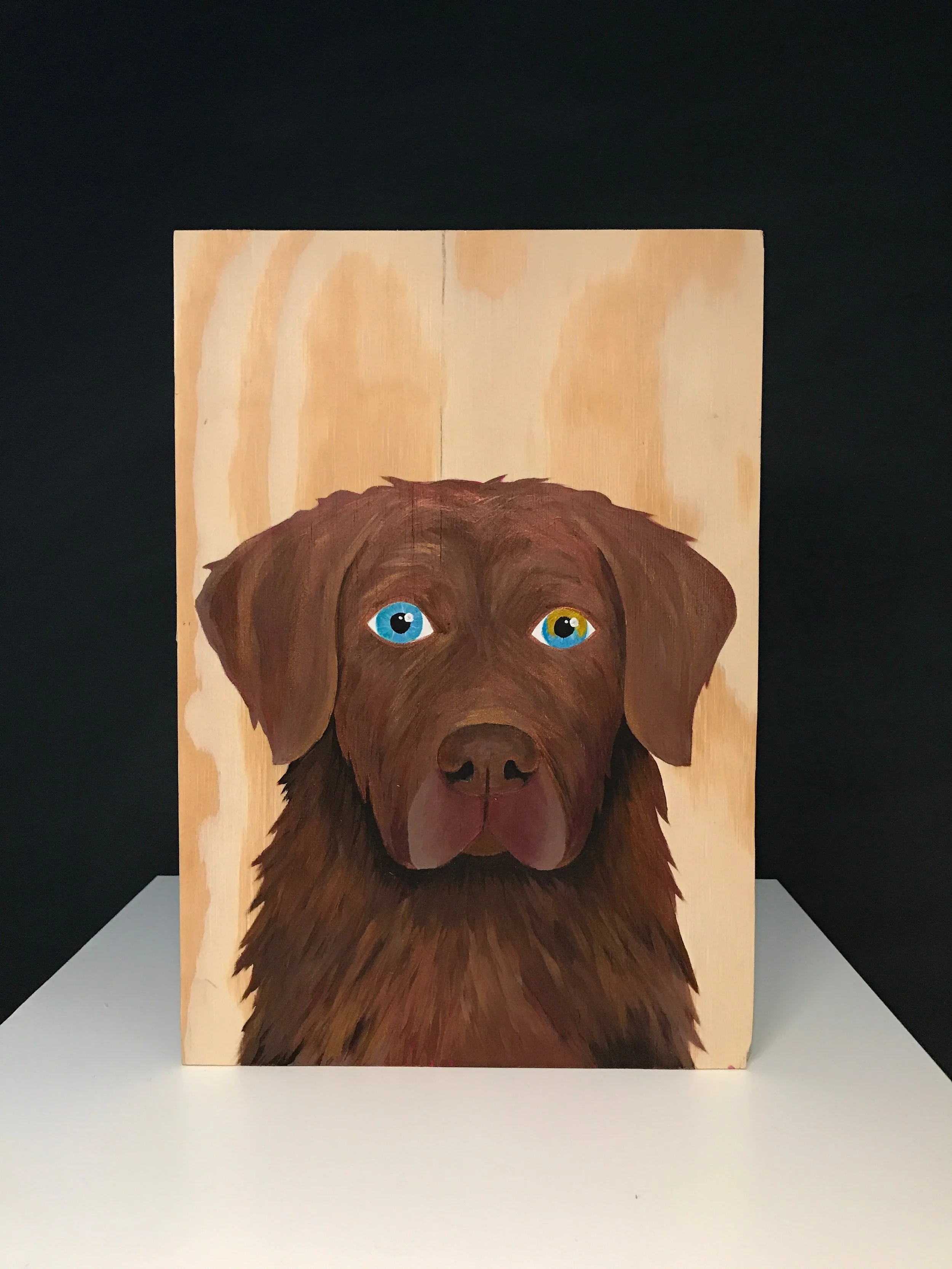 Pet Portrait 9x13