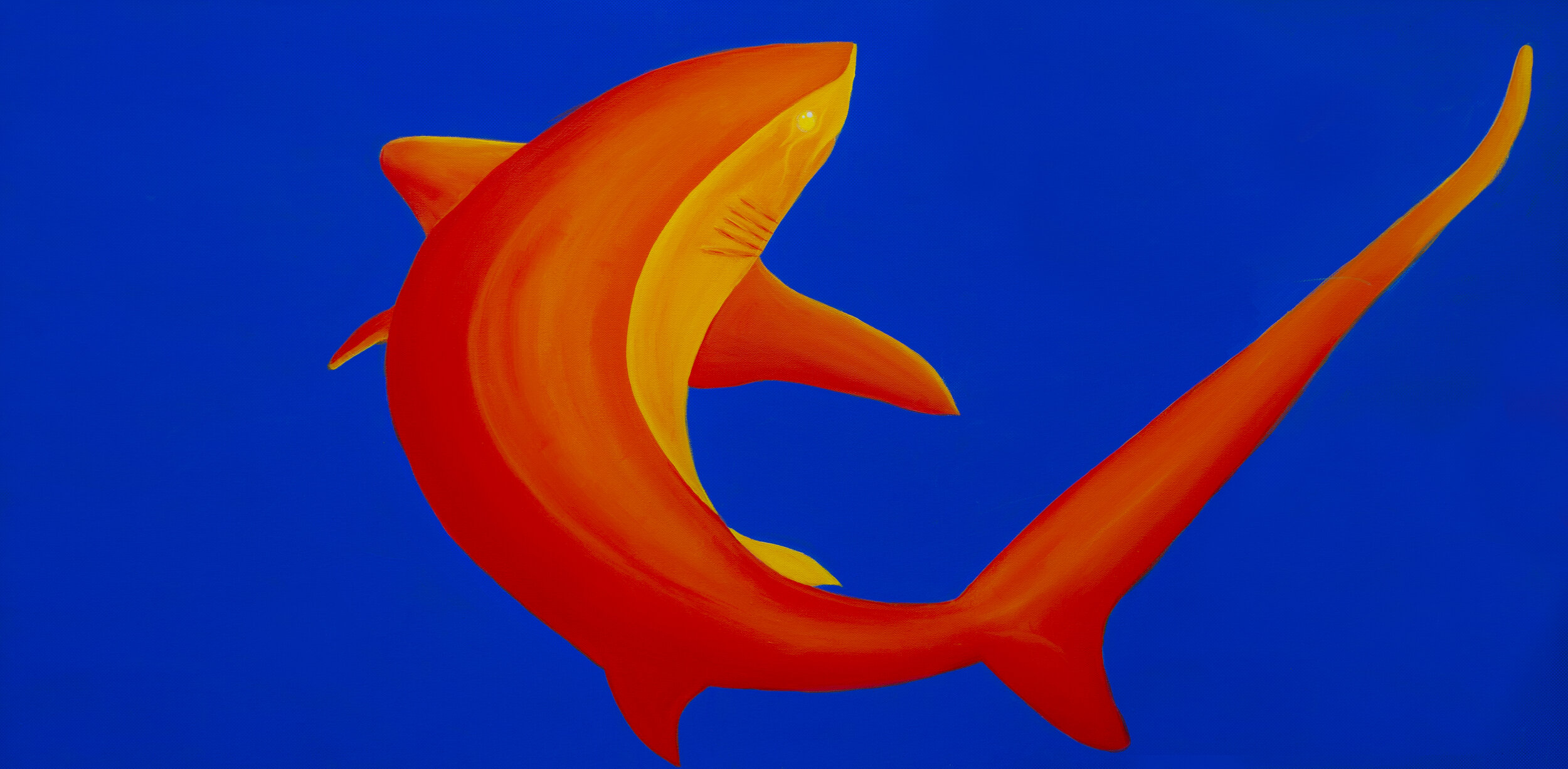 49D49E43-6754-48EC-8765-A39E3BC4BA2E