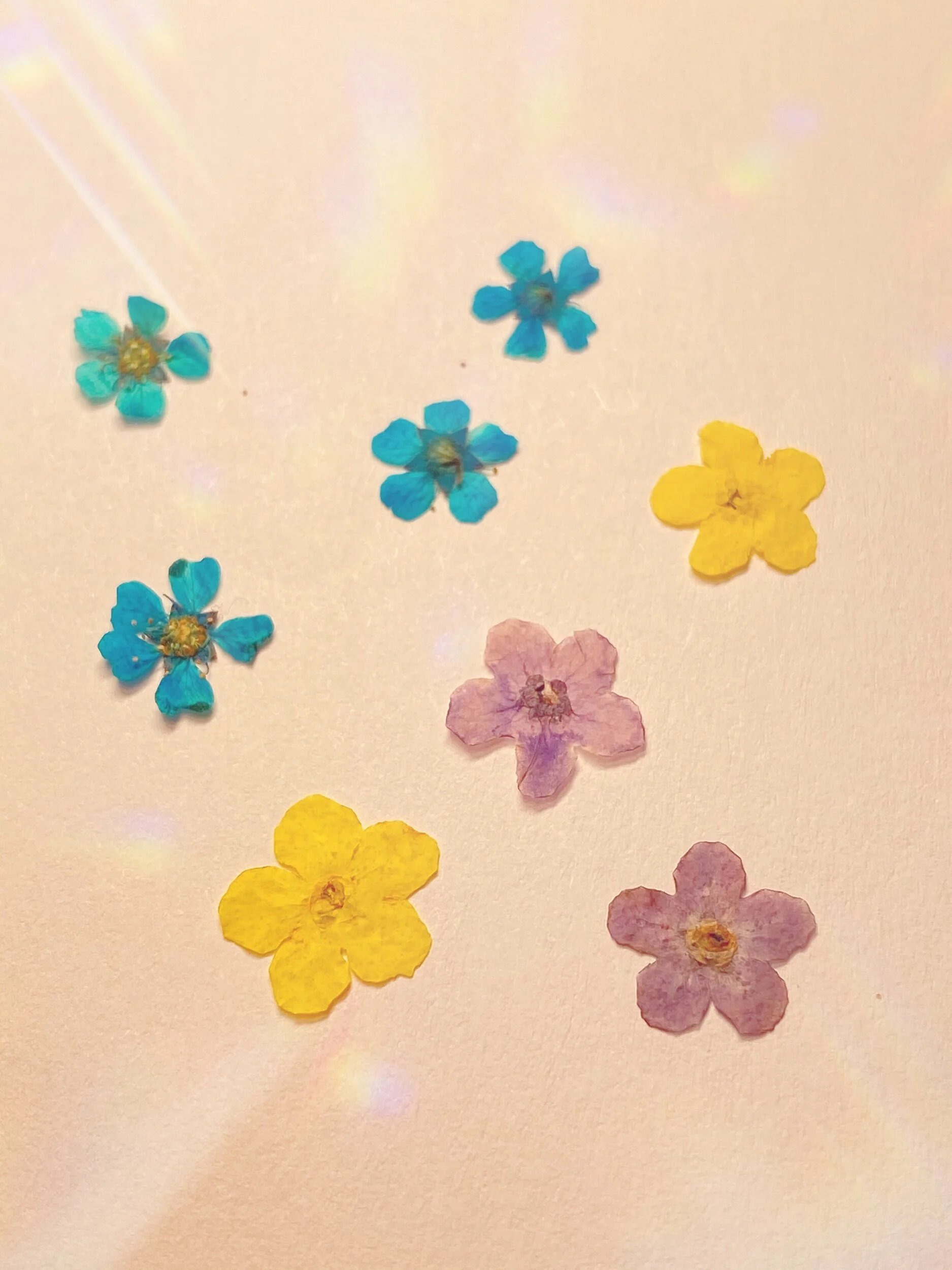 D4EDBF1F-A71B-4C56-BDEC-3DDF9B7651C9