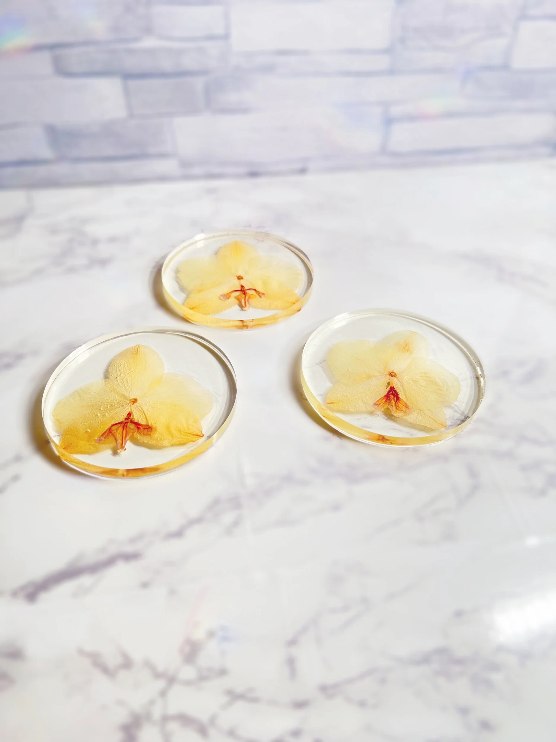 F99D2D2E-0BA8-45A6-9CFF-05E87A54C34C