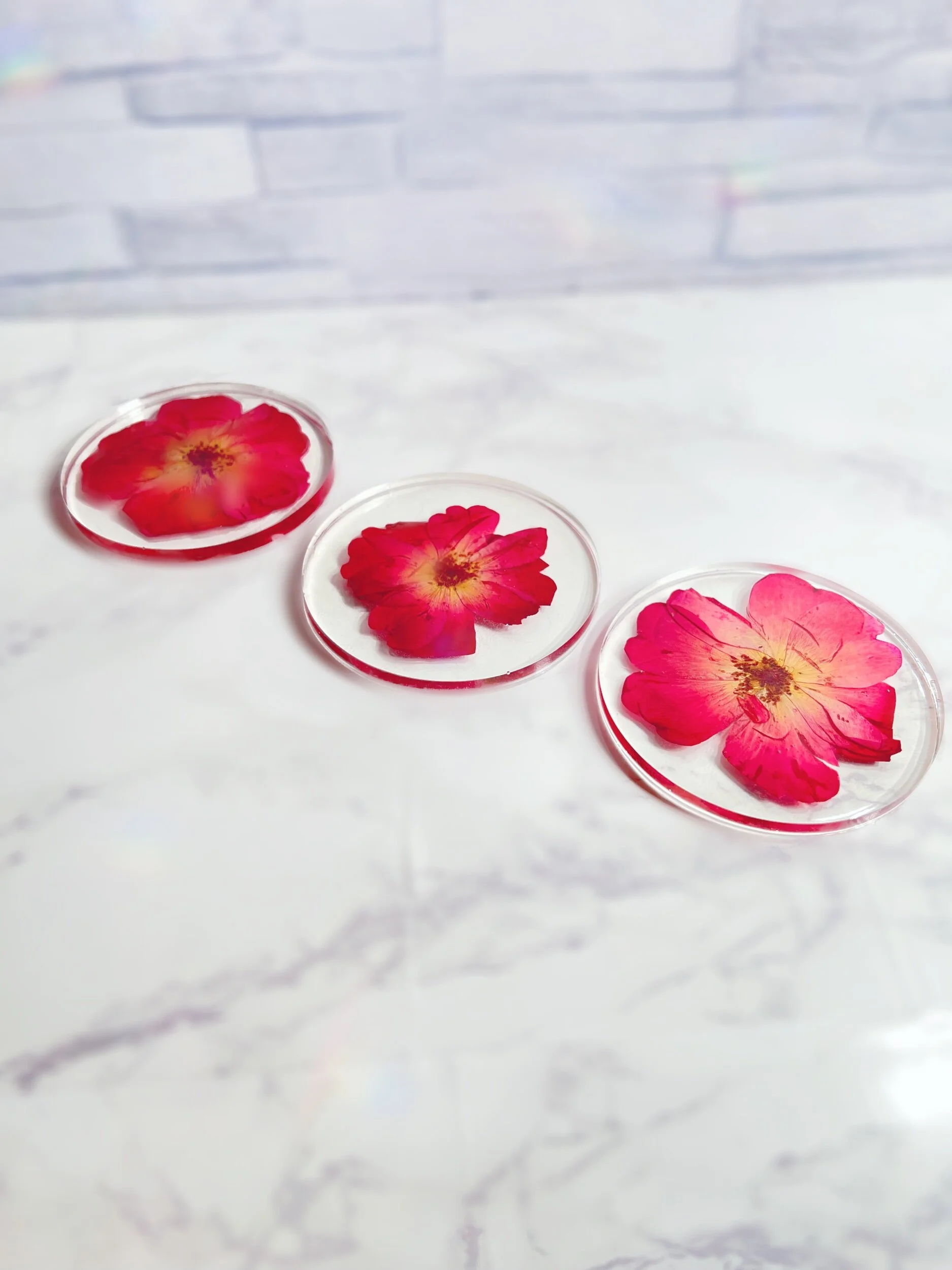 258424D7-C5F4-41E1-9B22-A813E4F0A8C4