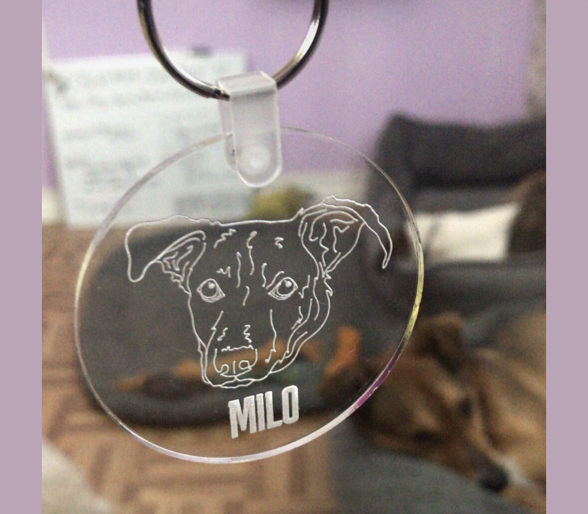 C101CFFB-110F-4D6A-A77A-AF4869B58E5B