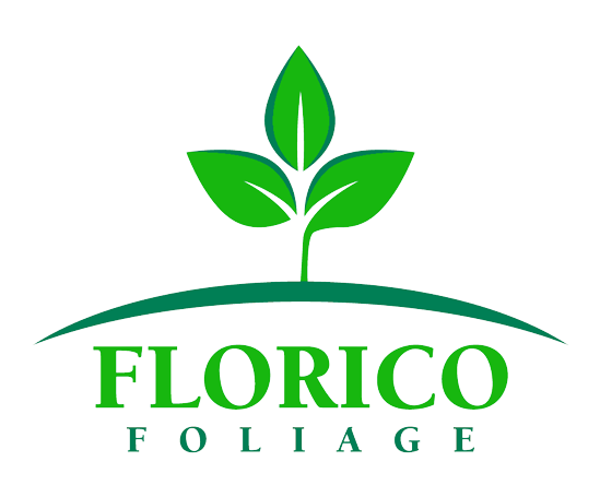 Florico Foliage