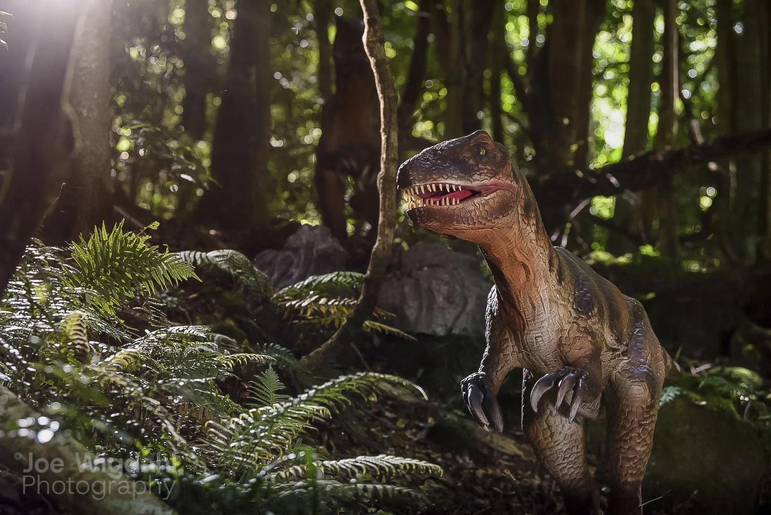 241029-ScenicWorld-Dino_083_WEB_WM.jpg