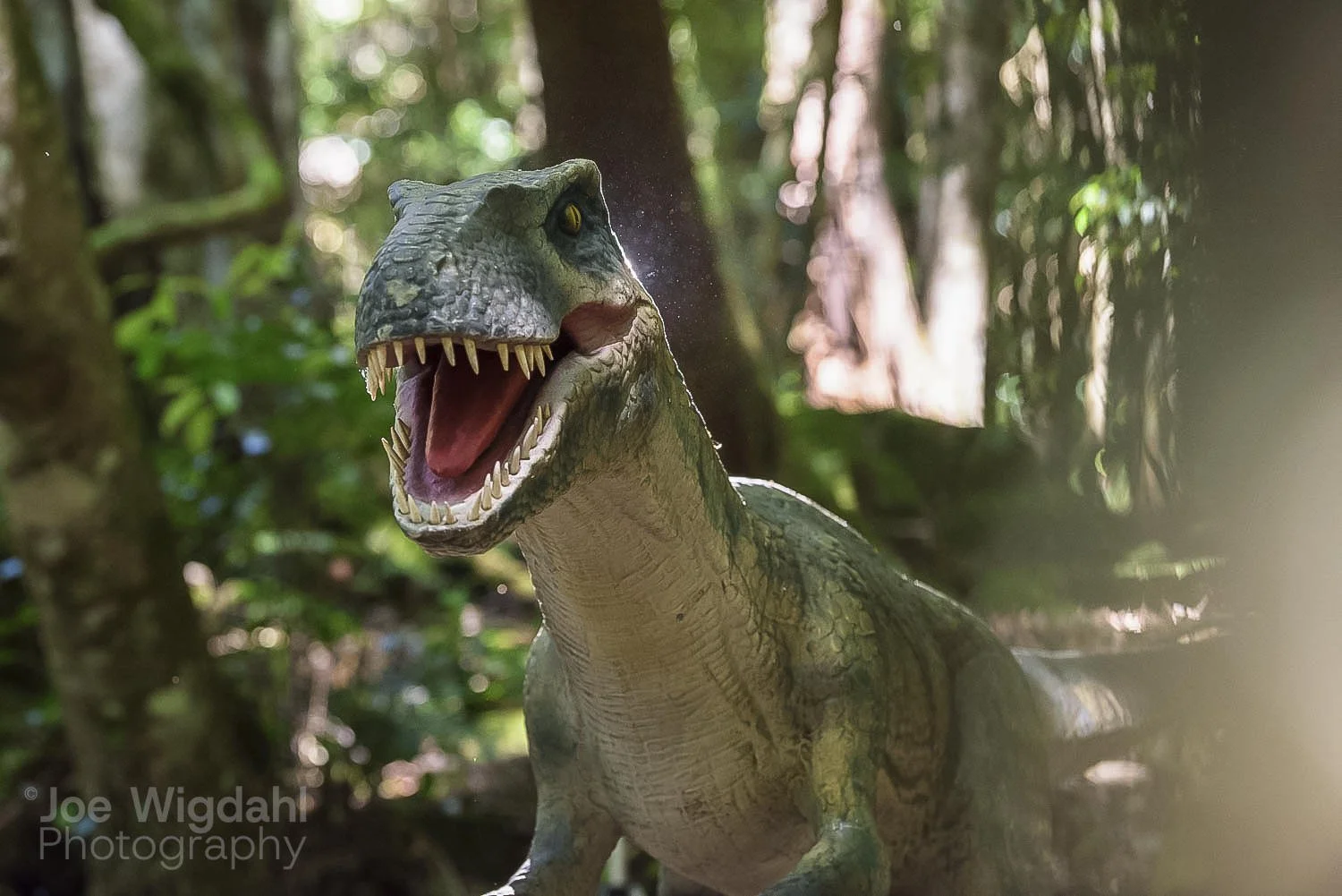 241029-ScenicWorld-Dino_227_WEB_WM.jpg