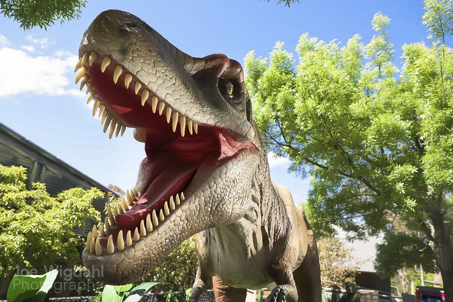 241029-ScenicWorld-Dino_348_WEB_WM.jpg
