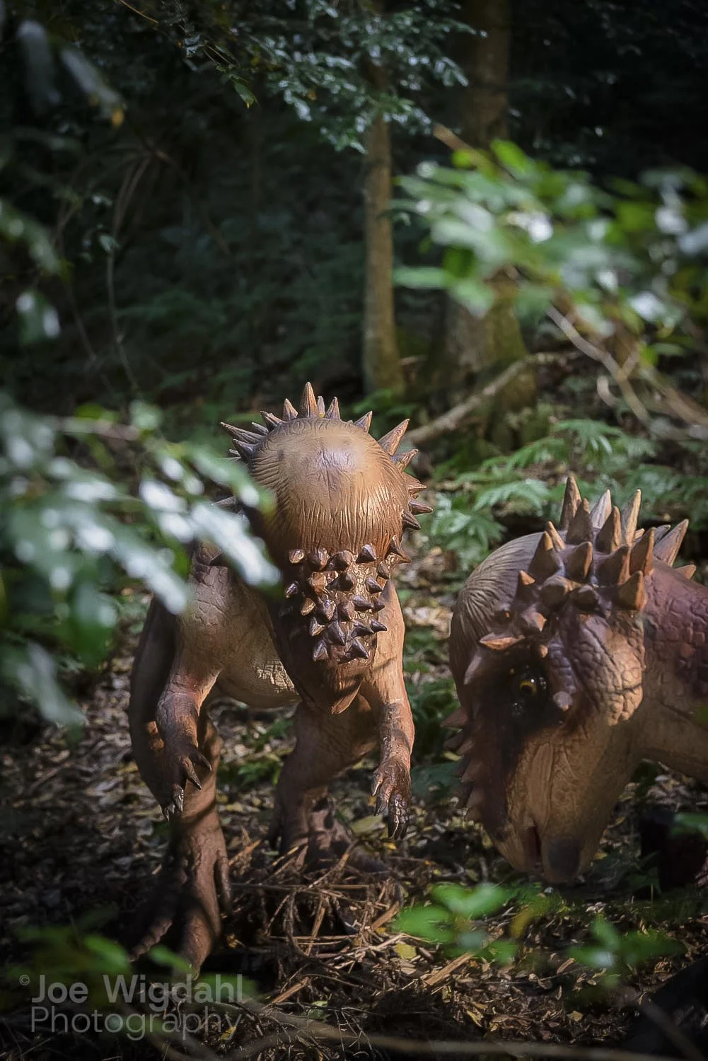 241030-ScenicWorld-Dino_702_WEB_WM.jpg
