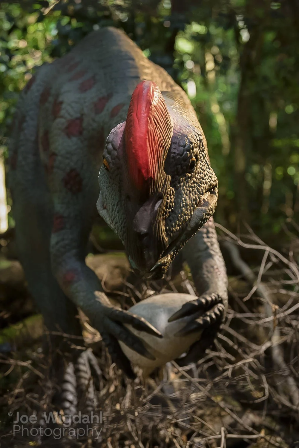 241030-ScenicWorld-Dino_721_WEB_WM.jpg