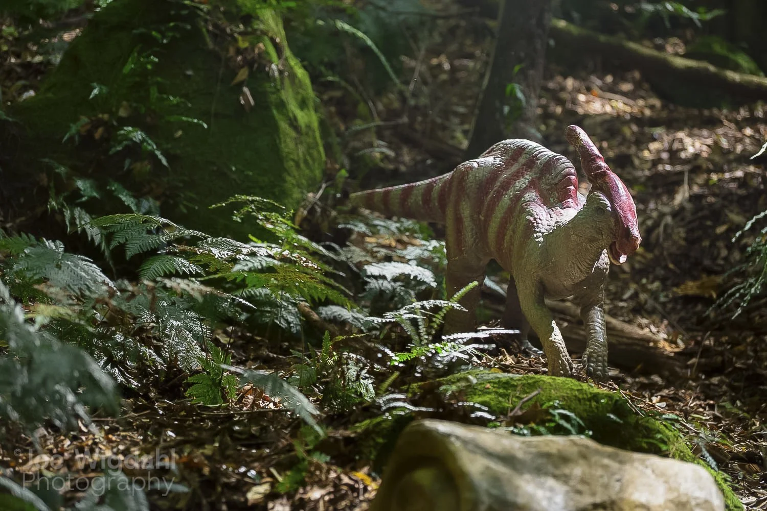 241030-ScenicWorld-Dino_472_WEB_WM.jpg