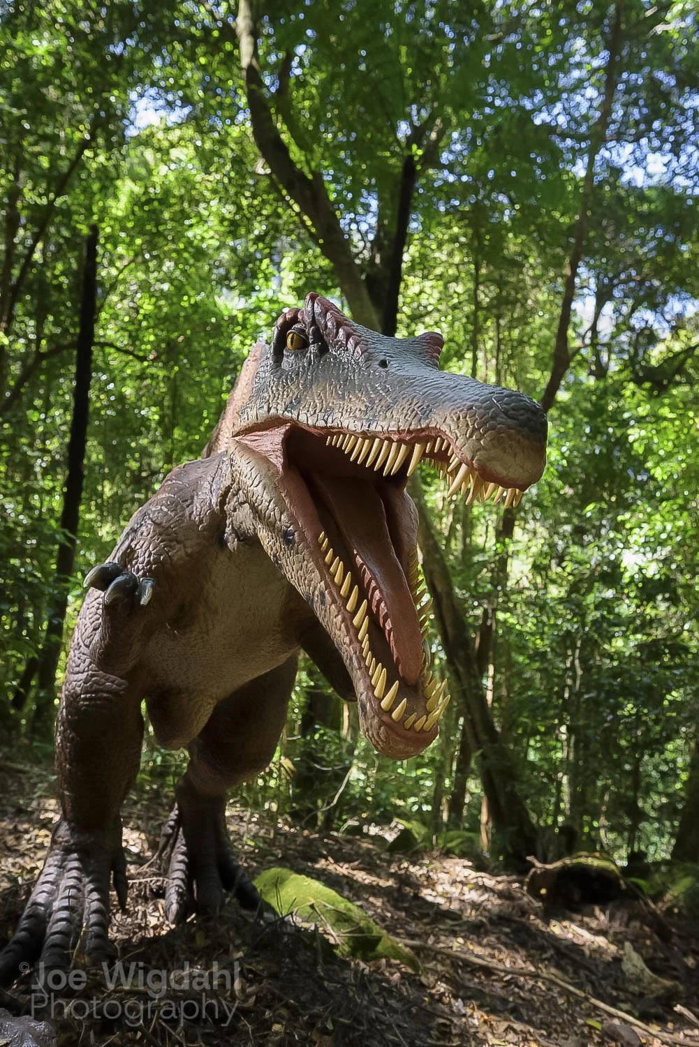 241030-ScenicWorld-Dino_607_WEB_WM.jpg