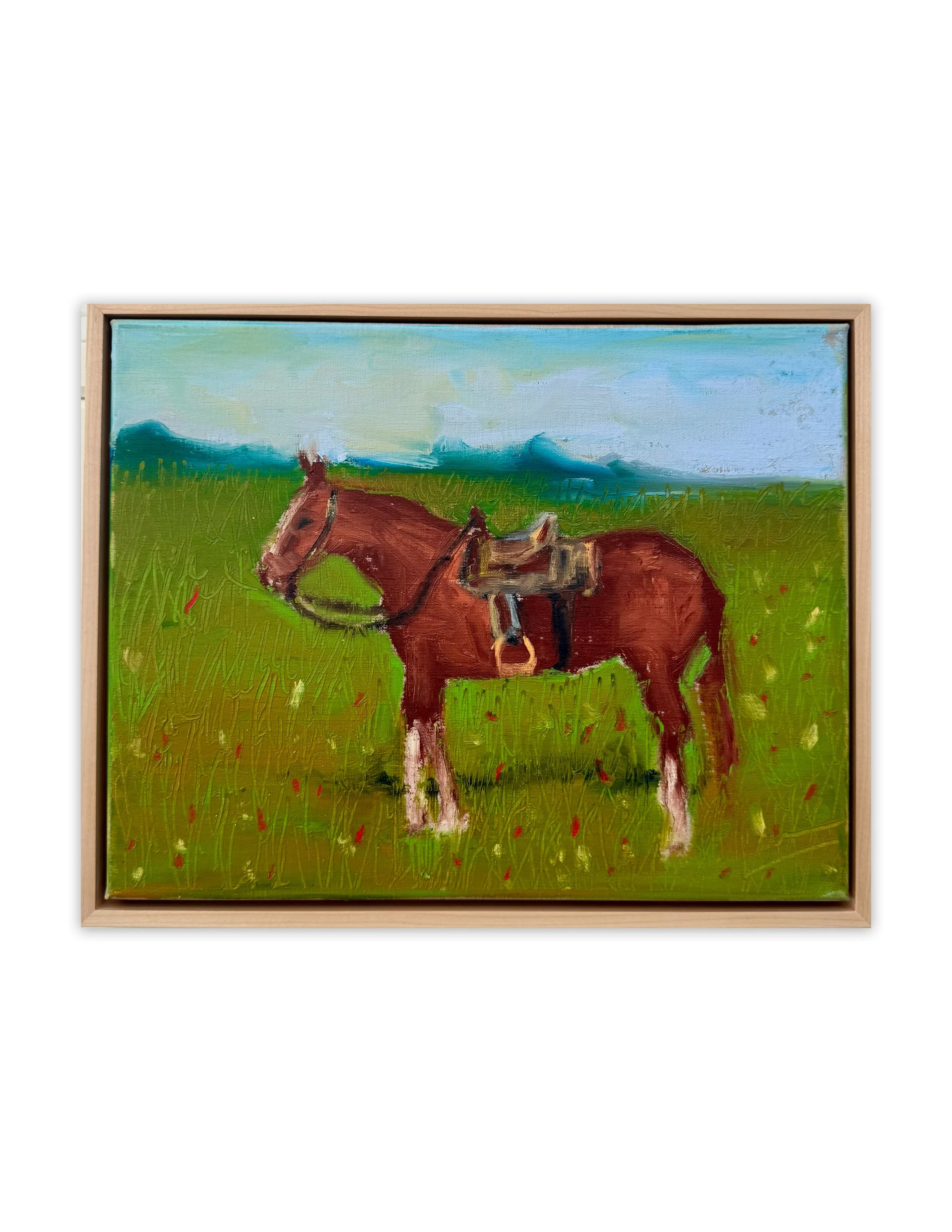 Hank in the Field.jpg