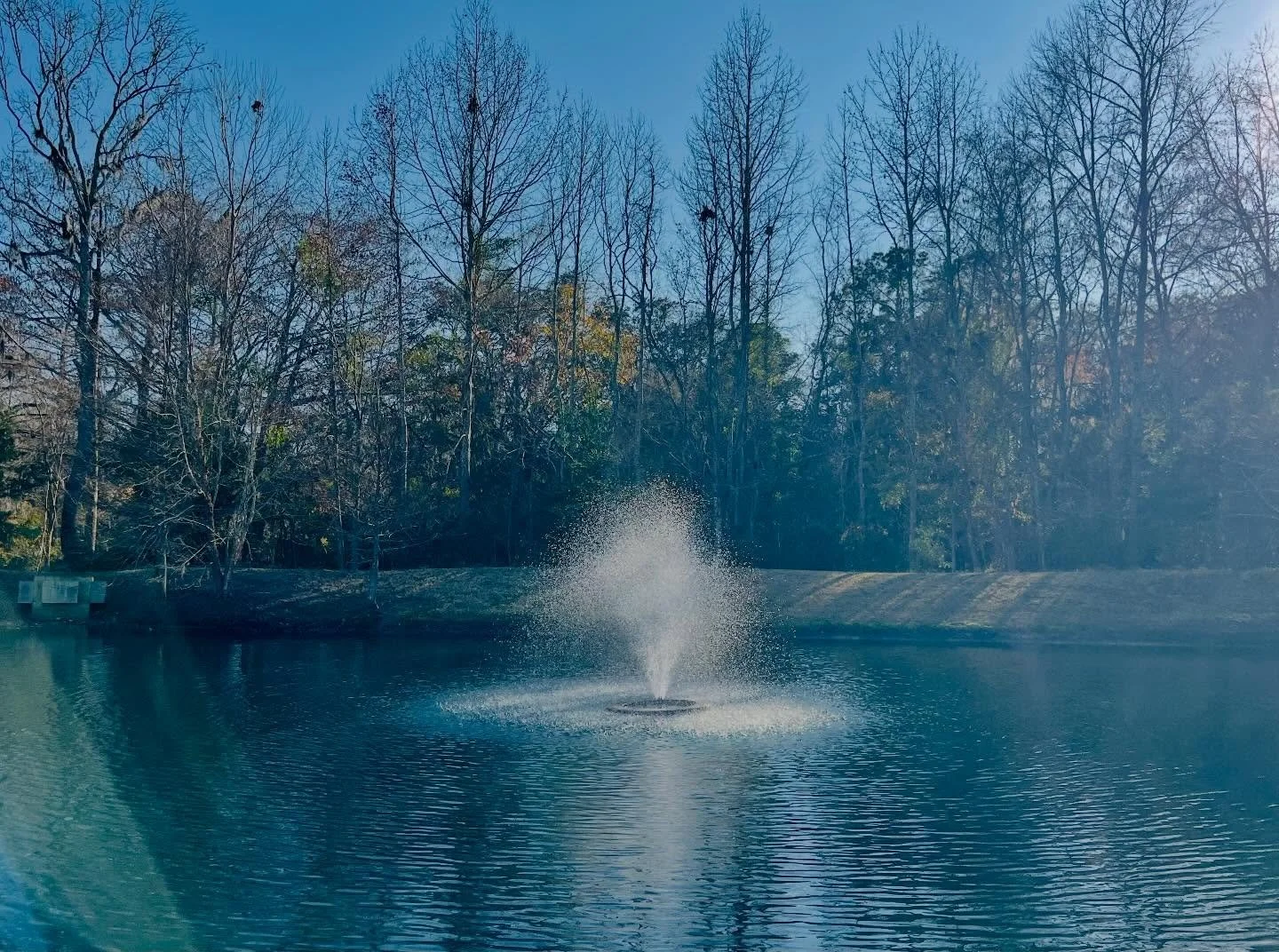 THE SMALL THINGS&hellip; The pond fountain is now flowing again in all its glory. 💦💧