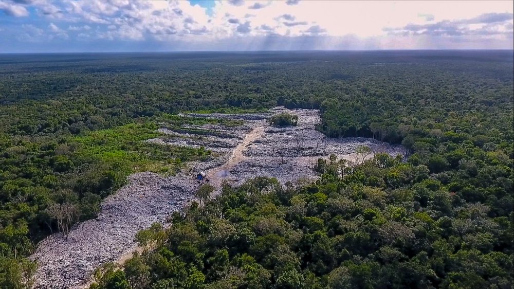 One of Tulum's two landfills. Trash is dumped right into the jungle. 