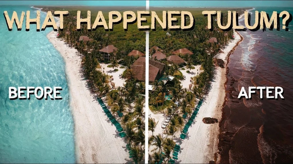 The “red tide” in Tulum. Picture from Lost Le Blanc .
